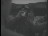Thumbnail 36