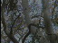 Thumbnail 29