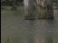Thumbnail 31