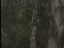 Thumbnail 32