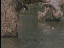 Thumbnail 33