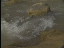 Thumbnail 43