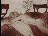 Thumbnail 45