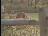Thumbnail 23