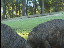 Thumbnail 18