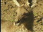 Thumbnail 28