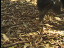 Thumbnail 21