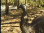 Thumbnail 22