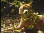 Thumbnail 25