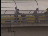 Thumbnail 22