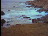 Thumbnail 65