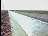 Thumbnail 31