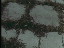 Thumbnail 42