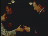 Thumbnail 25