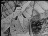 Thumbnail 21