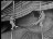 Thumbnail 22