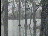 Thumbnail 25