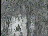 Thumbnail 28