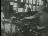Thumbnail 21