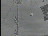 Thumbnail 23