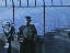 Thumbnail 37