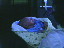 Thumbnail 21