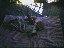 Thumbnail 26