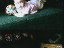 Thumbnail 27