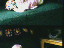 Thumbnail 28