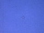Thumbnail 26