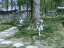 Thumbnail 22