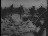 Thumbnail 44