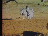 Thumbnail 17