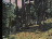 Thumbnail 20