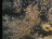 Thumbnail 22