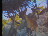 Thumbnail 16