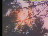 Thumbnail 19