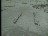 Thumbnail 22