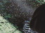 Thumbnail 23