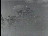 Thumbnail 20