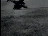 Thumbnail 26
