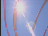 Thumbnail 26