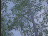 Thumbnail 20