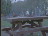 Thumbnail 25