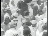 Thumbnail 22