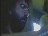 Thumbnail 28