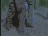Thumbnail 22