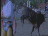 Thumbnail 23