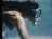 Thumbnail 24