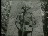 Thumbnail 27